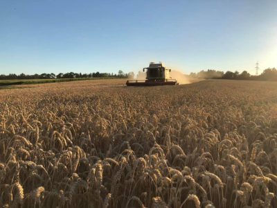 116697603_1796954267111176_6527770108783351724_n